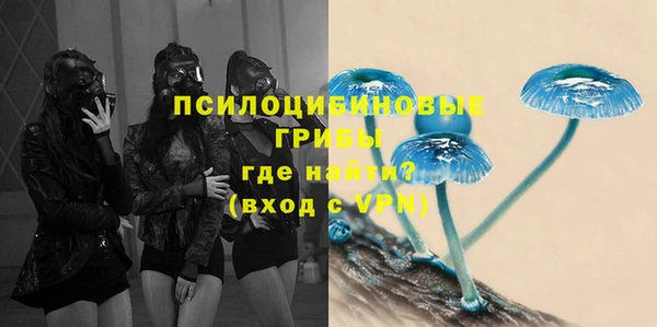 соль ск Богородск