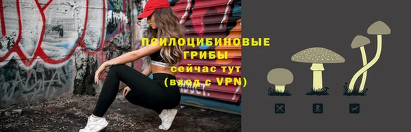 PSILOCYBIN Богданович