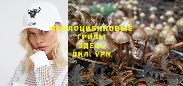 марихуана Богородицк