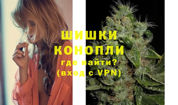 PSILOCYBIN Богданович