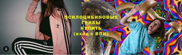 PSILOCYBIN Богданович