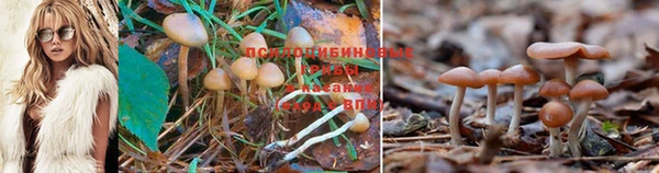 мефедрон мука Беломорск