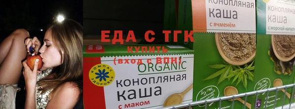 PSILOCYBIN Богданович